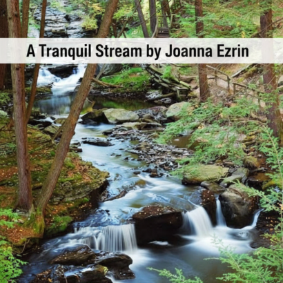 A Tranquil Stream